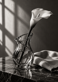 Calla-Lilie und Leinen im Fensterlicht – Schwarz-Weiß-Wandbild.