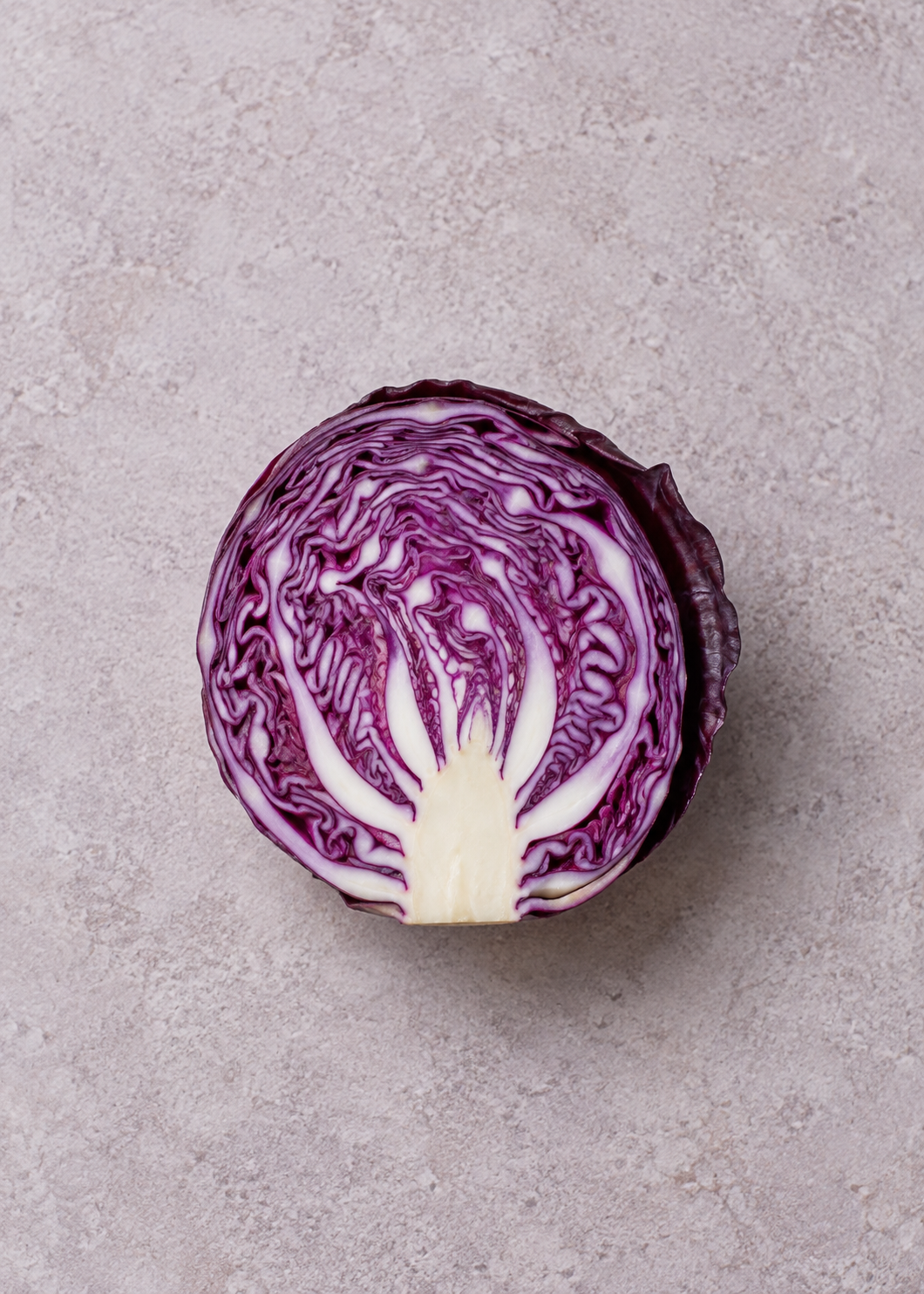 Rotkohl – Originalmotiv