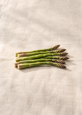Spargel – Originalmotiv