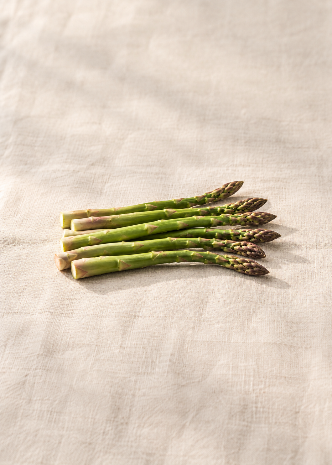 Spargel – Originalmotiv