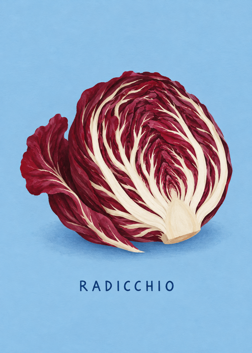 Radicchio – Originalmotiv